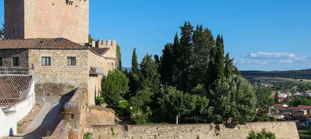 Tour privado por Ciudad Rodrigo ¡Tú eliges! en Ciudad Rodrigo