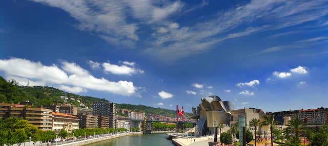 Tour privado por el Museo Guggenheim en Bilbao