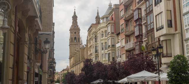Tour privado por Logroño ¡Tú eliges! en Logrono