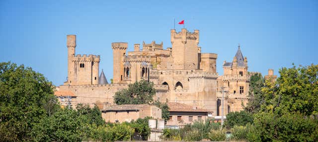 Tour privado por Olite y su castillo en Olite