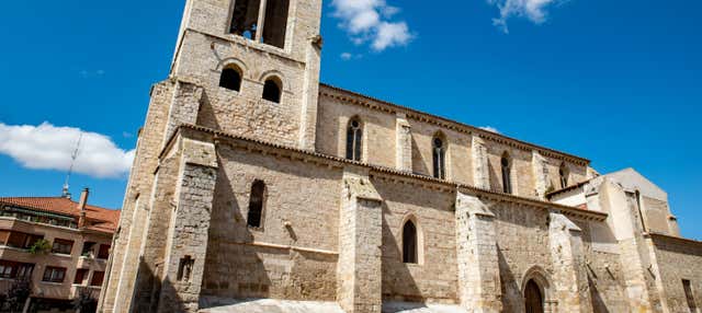 Tour privado por Palencia en Palencia