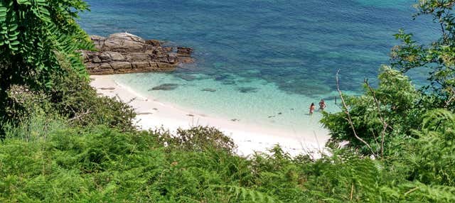 Traslado a la isla de Ons en Portonovo