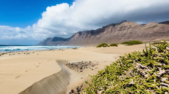 Traslados en Caleta de Famara en Caleta De Famara