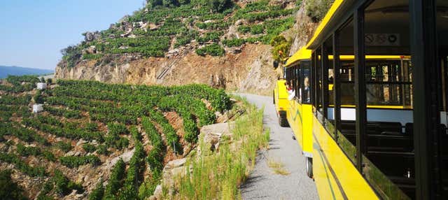 Tren turístico de la Ribeira Sacra en Doade