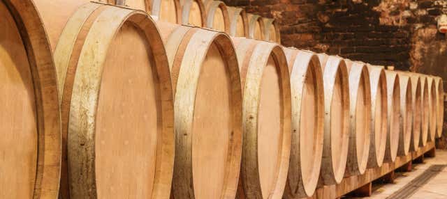 Visita a Bodegas Riojanas con degustación de vino en Cenicero