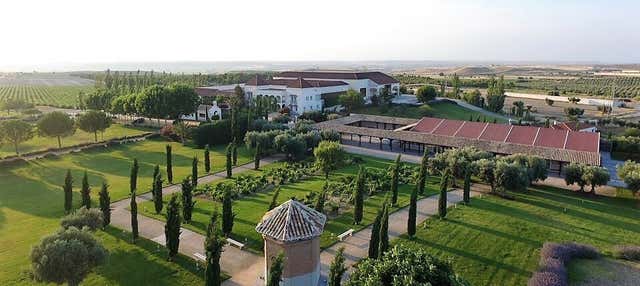 Visita a Bodegas y Viñedos Casa del Valle en Yepes
