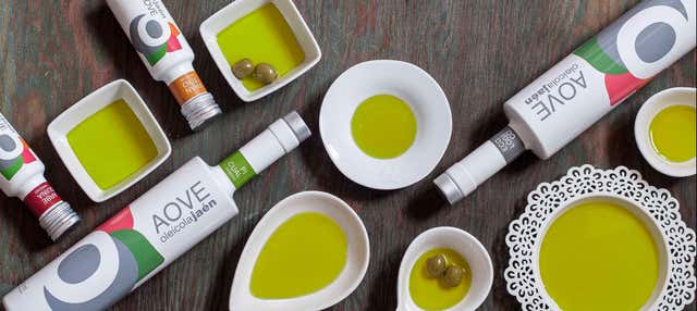 Visita a la almazara Oleícola Jaén con cata de aceites en Baeza
