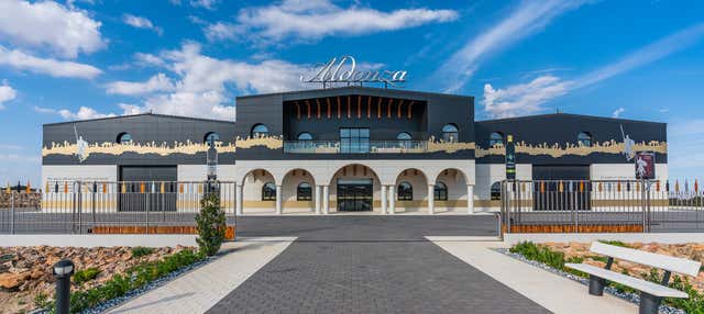 Visita a la bodega Aldonza en Munera