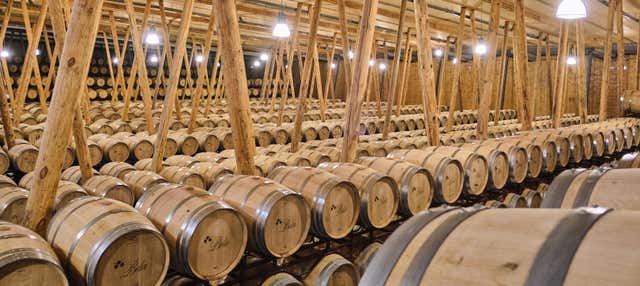 Visita a la bodega Bela en Villalba De Duero