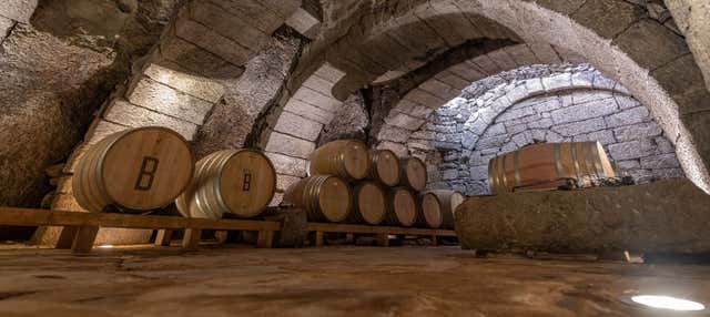 Visita a la bodega Bruneo en Fermoselle