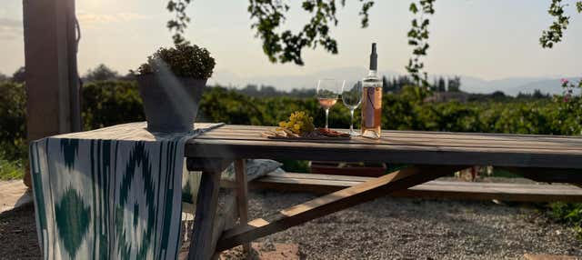 Visita a la bodega Butxet en Muro