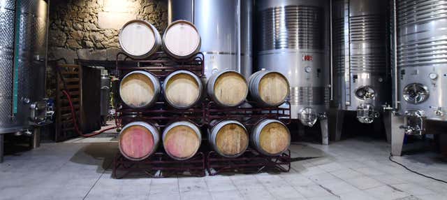 Visita a la bodega Casa Moreiras en Sios