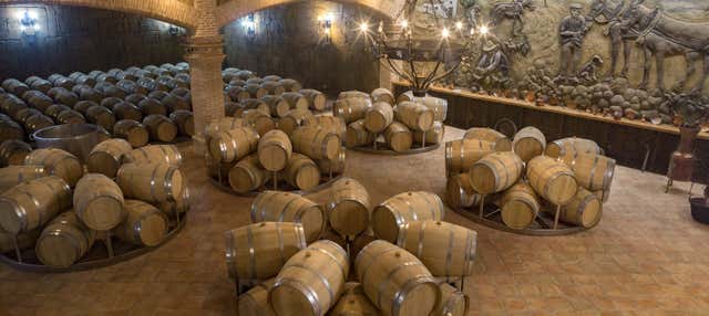 Visita a la Bodega Castillo de Aresan en Villarrobledo
