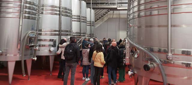 Visita a la bodega Convento Oreja en Penafiel