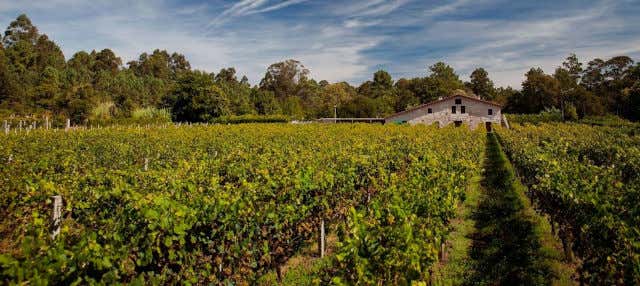Visita a la bodega Corisca en Salceda De Caselas