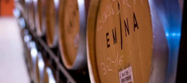 Visita a la Bodega Emina Ribera en Valbuena Duero