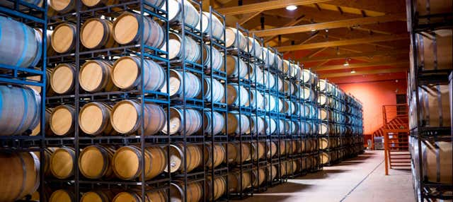 Visita a la Bodega Emina Rueda en Medina Del Campo