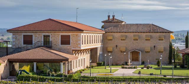 Visita a la bodega Finca Torremilanos en Aranda De Duero