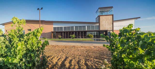Visita a la bodega Gordonzello en Gordoncillo