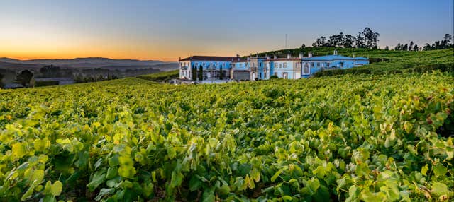 Visita a la bodega Granbazán en Cambados