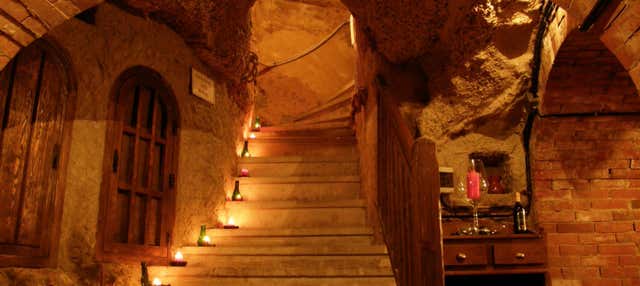 Visita a la Bodega Histórica Don Carlos con cata de vinos en Aranda De Duero