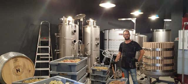 Visita a la bodega Hoplita en Logrono
