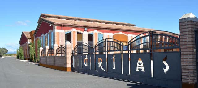 Visita a la bodega Idrias en Ponzano