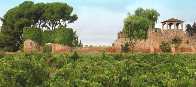 Visita a la bodega Jaume Serra en Villanueva Y Geltru