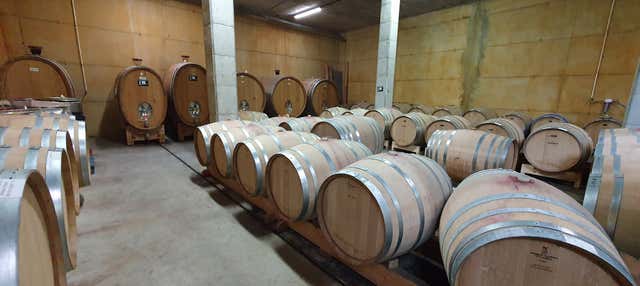 Visita a la bodega La Conreria en Escaladei