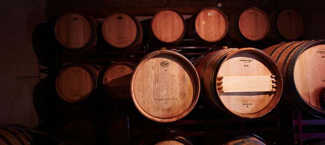 Visita a la bodega Las dos Antiguas en Navas De Oro