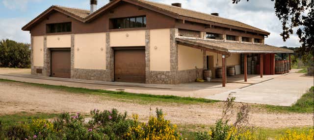 Visita a la bodega Las Moradas de San Martín en San Martin De Valdeiglesias