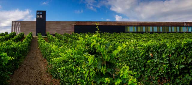 Visita a la bodega Laus en Barbastro