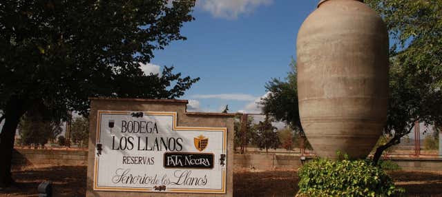 Visita a la bodega Los Llanos y la Cueva del Arte en Valdepenas