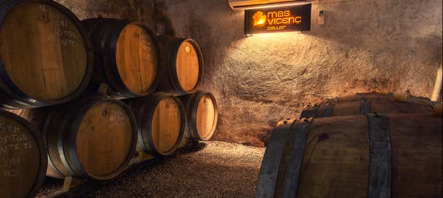 Visita a la bodega Mas Vicenç en Cabra Campo