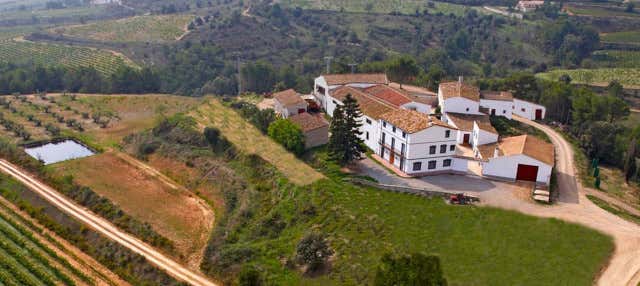 Visita a la Bodega Miquel Jané en Font Rubi