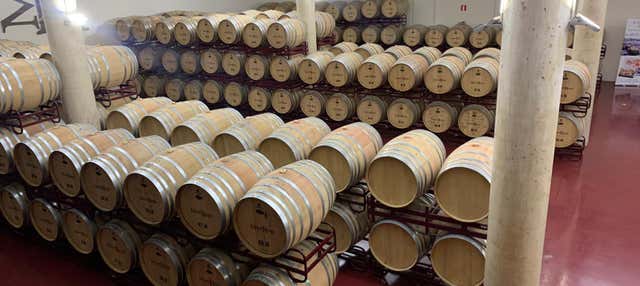 Visita a la bodega Mont Reaga en Monreal Del Llano