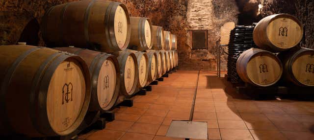 Visita a la bodega Muelas en Tordesillas