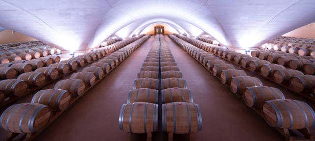 Visita a la Bodega Otazu en Otazu