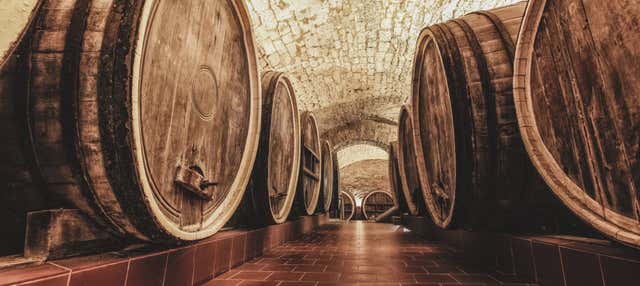 Visita a la bodega Pérez Barquero en Montilla