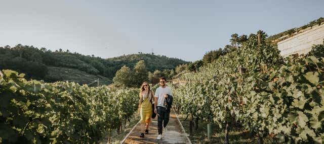 Visita a la bodega Pazo de Toubes en Ribadavia