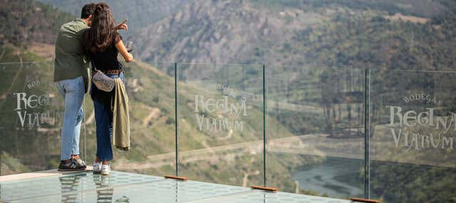 Visita a la bodega Regina Viarum en Doade