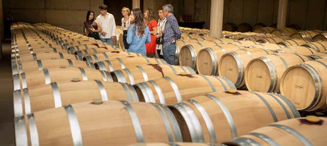 Visita a la bodega Sierra Norte en Requena