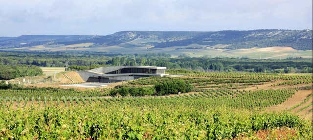 Visita a la bodega Tr3smano en Padilla De Duero