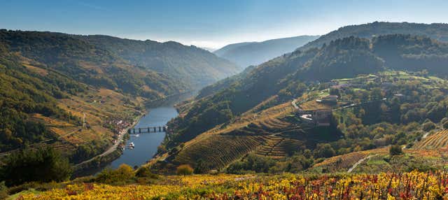 Visita a la bodega Vía Romana en Chantada
