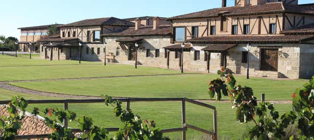 Visita a la bodega Viña Arnáiz en Haza