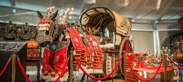 Visita a la bodega Virgen de las Viñas + Museo de Arte Contemporáneo Infanta Elena en Tomelloso