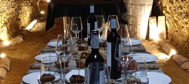Visita a la cueva-bodega Dorretxe + Cata de aceite en Laguardia