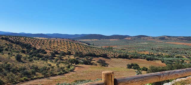 Visita a la finca La Pontezuela con cata de aceites en Los Navalmorales