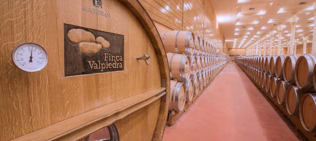 Visita a la finca Valpiedra en Fuenmayor