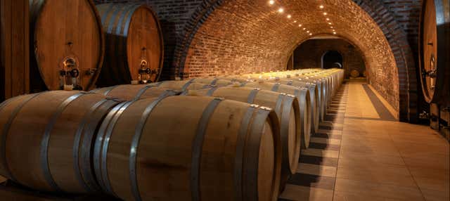 Visita a las bodegas Alfredo Santamaría en Cubillas Santa Marta